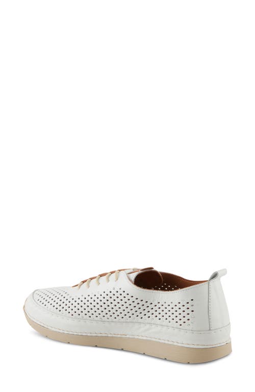 Spring Step Breen Perforated Sneaker In White