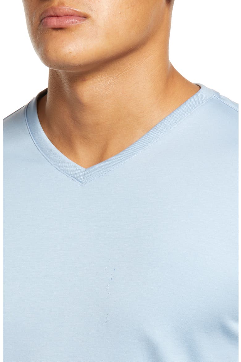 Georgia Regular Fit V-Neck T-Shirt, Alternate, color, SOFT CHAMBRAY