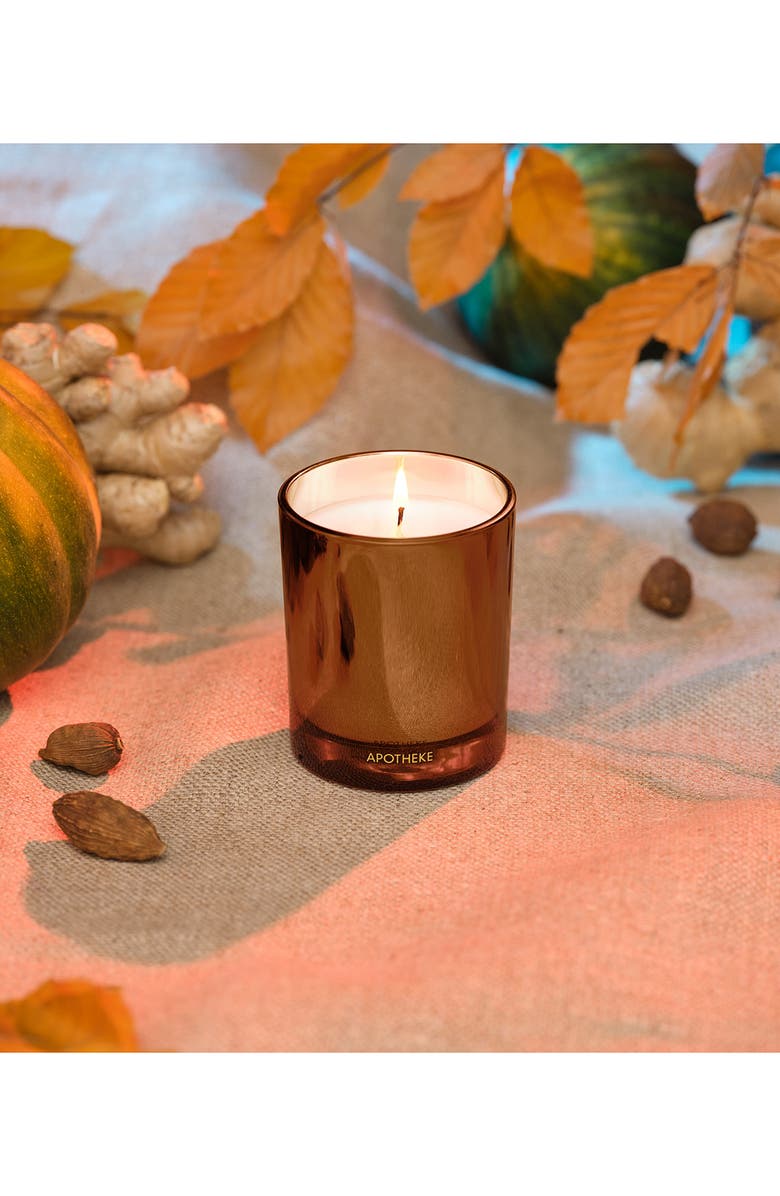 APOTHEKE Pumpkin Ginger Petite Scented Candle, Alternate, color, Rust/ Copper