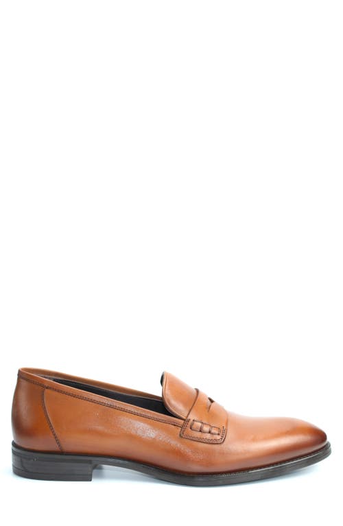 Vellapais Lucy Penny Loafer In Brown