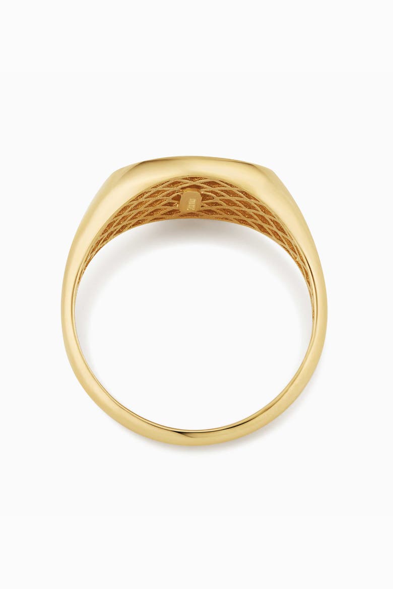 14K Yellow Gold Flying Lion Signet Ring, Alternate, color, Yellow Gold