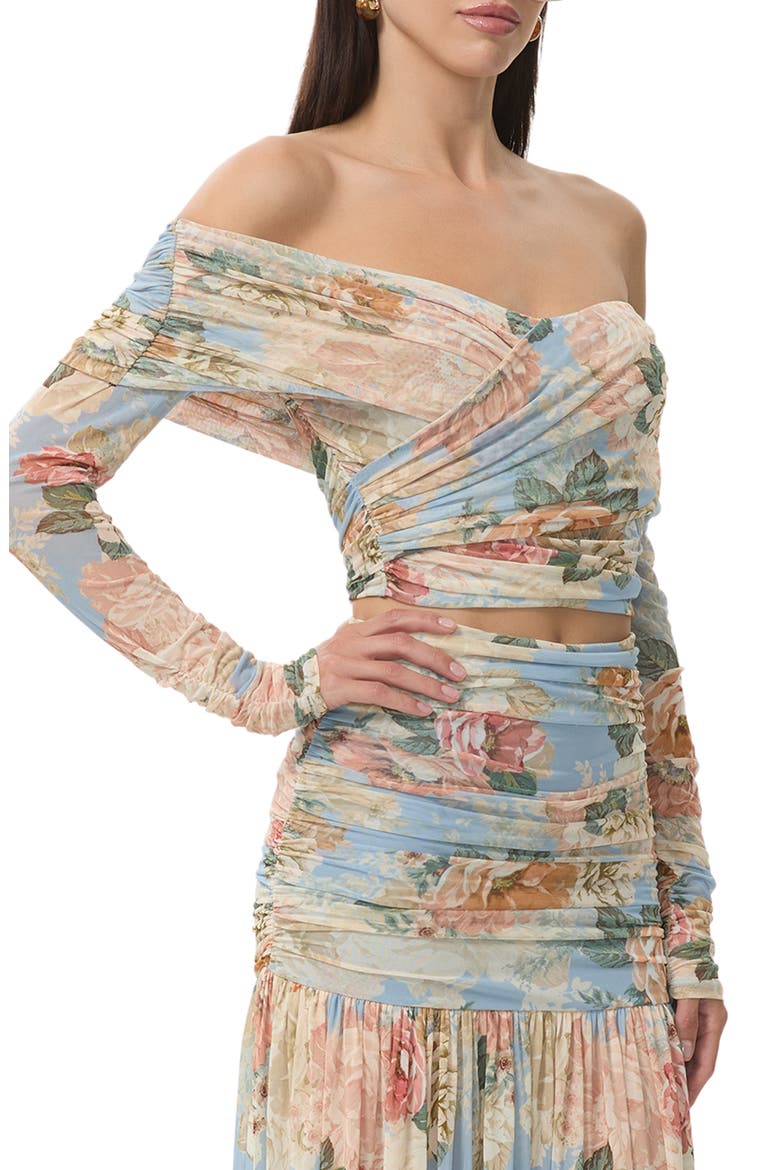Dido Floral Off the Shoulder Crop Top, Main, color, SOFT SLATE BLOOM