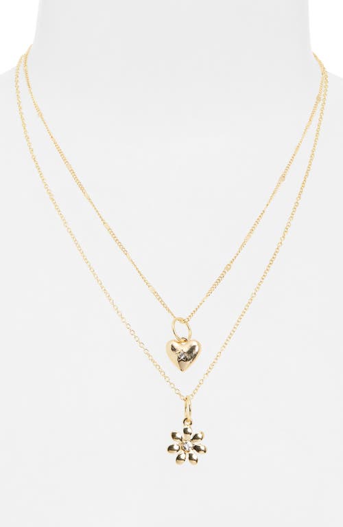 Bp. Sweet Motif Assorted Necklace & Charm Set
