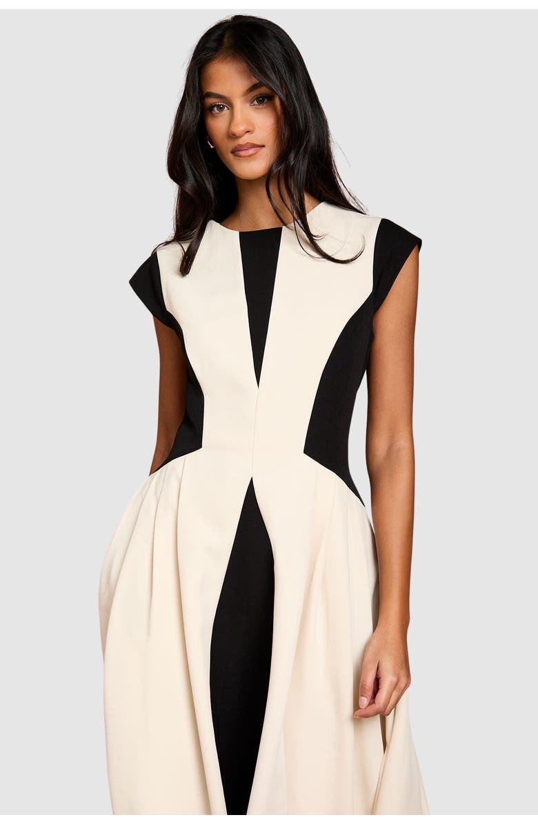 Coast Petite Crepe Colour Block Midi Dress, Alternate, color, Mono