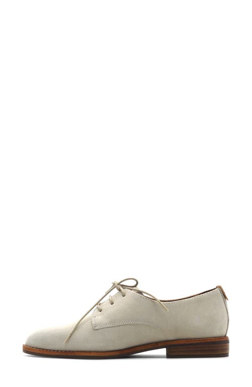 Gentle Souls Aronson Derby In Gray