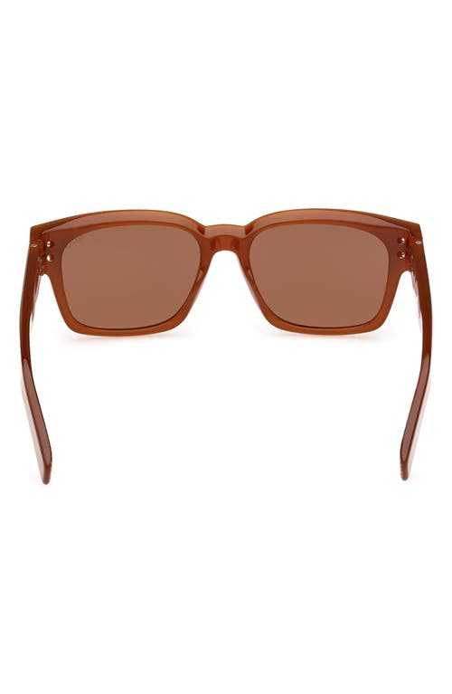 Zegna 55mm Polarized Rectangular Sunglasses In Brown
