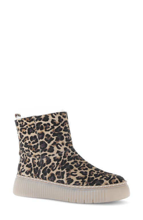 Gabor Genuine Shearling Lined Platform Bootie In Animal Print