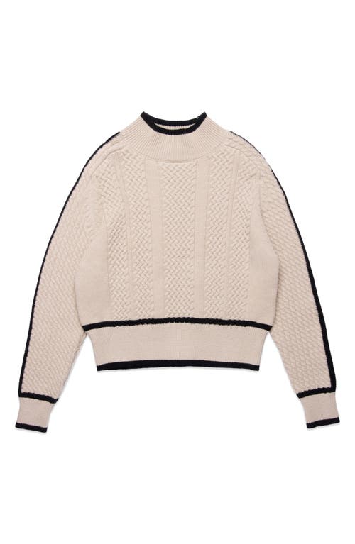 Deluc Kevin Turtleneck Sweater In Multi