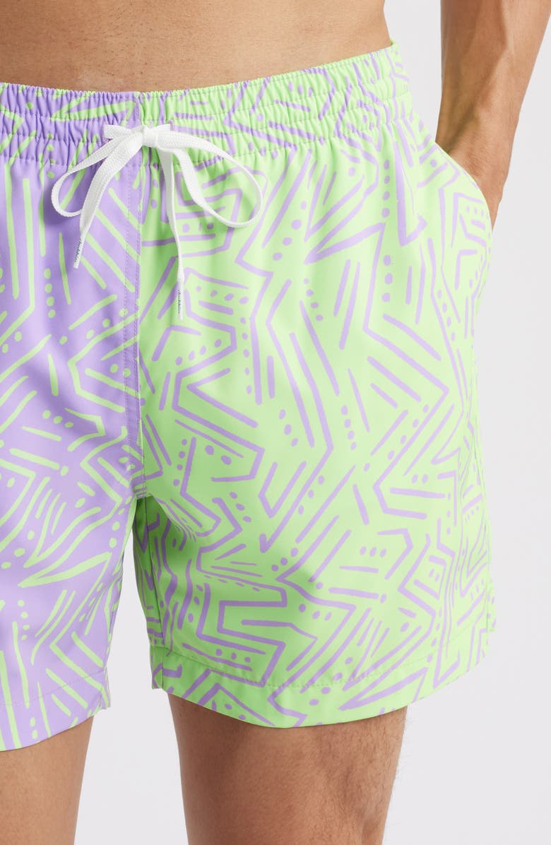 Chubbies The Pangeas 5.5-Inch Classic Lined Swim Trunks, Alternate, color, 