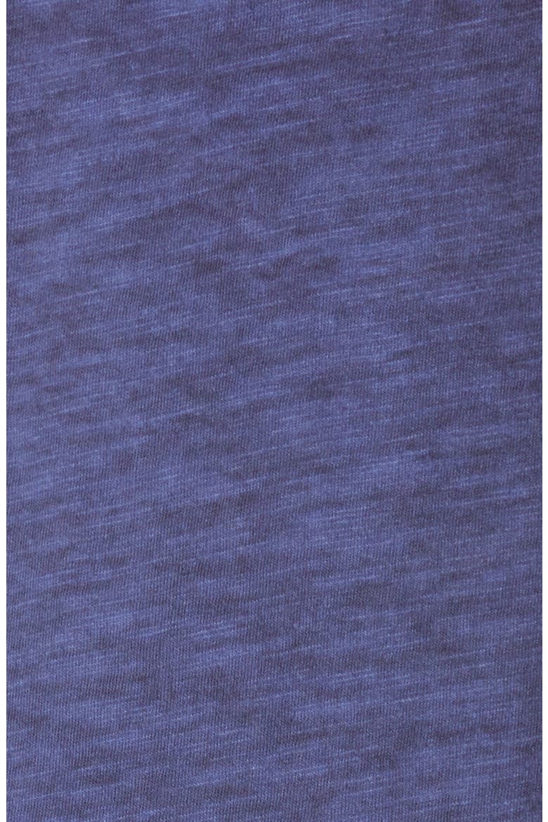 V-Neck Organic Cotton T-Shirt, Alternate, color, IRIS