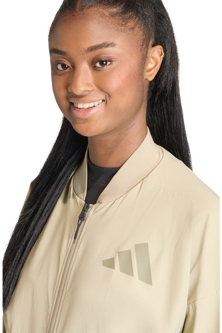 Z.N.E. Ripstop Bomber Jacket, Alternate, color, WONDER CARGO/ /