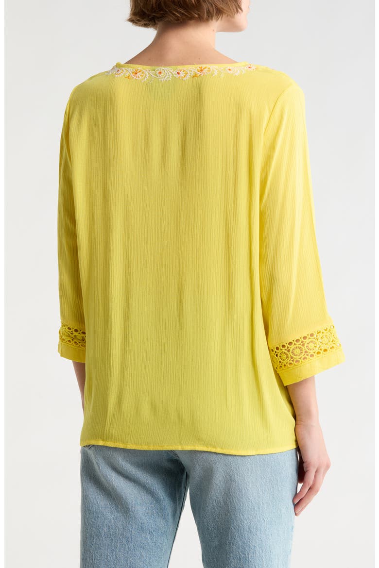 Embroidered V-Neck Top, Alternate, color, LEMON ZEST