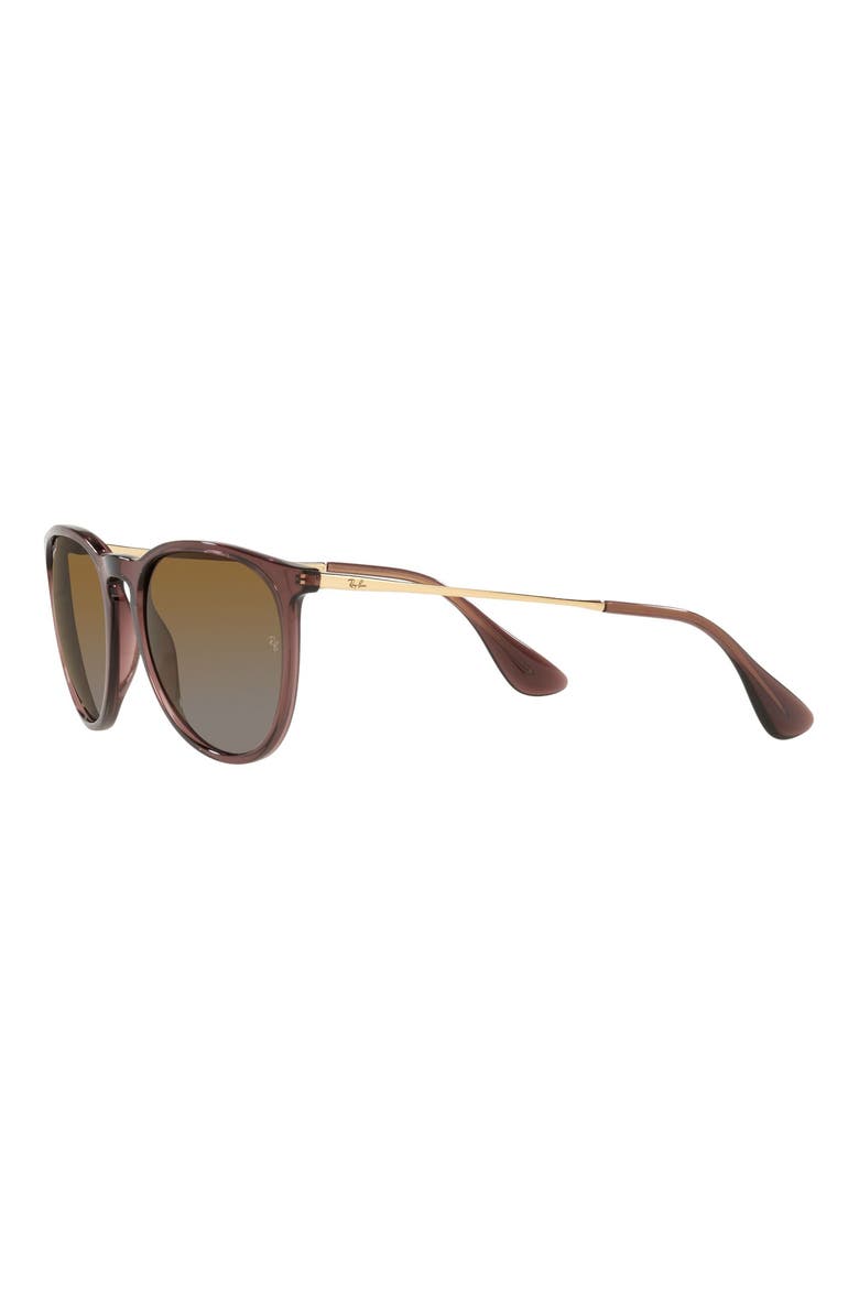 Erika Classic 54mm Sunglasses, Alternate, color, TRANSPARENT BROWN