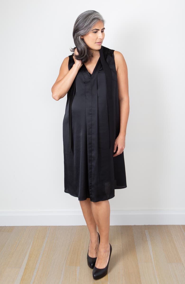 Emilia George Zena Maternity/Nursing Dress, Alternate, color,