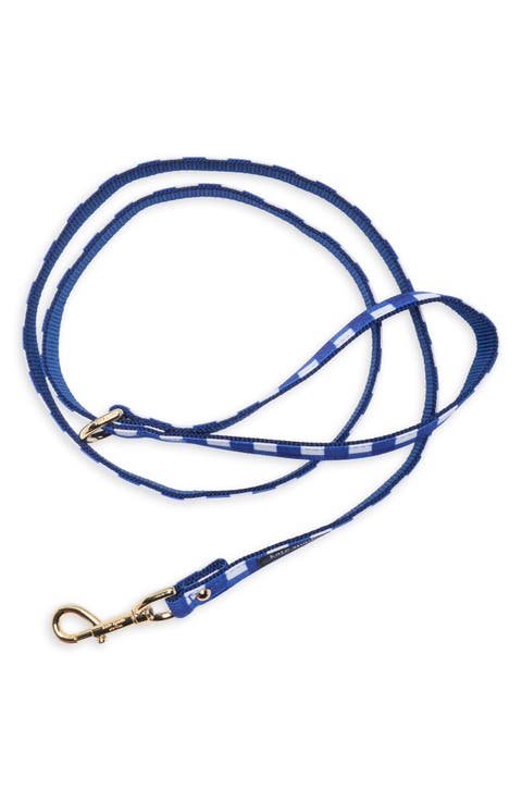Large Dog Leash