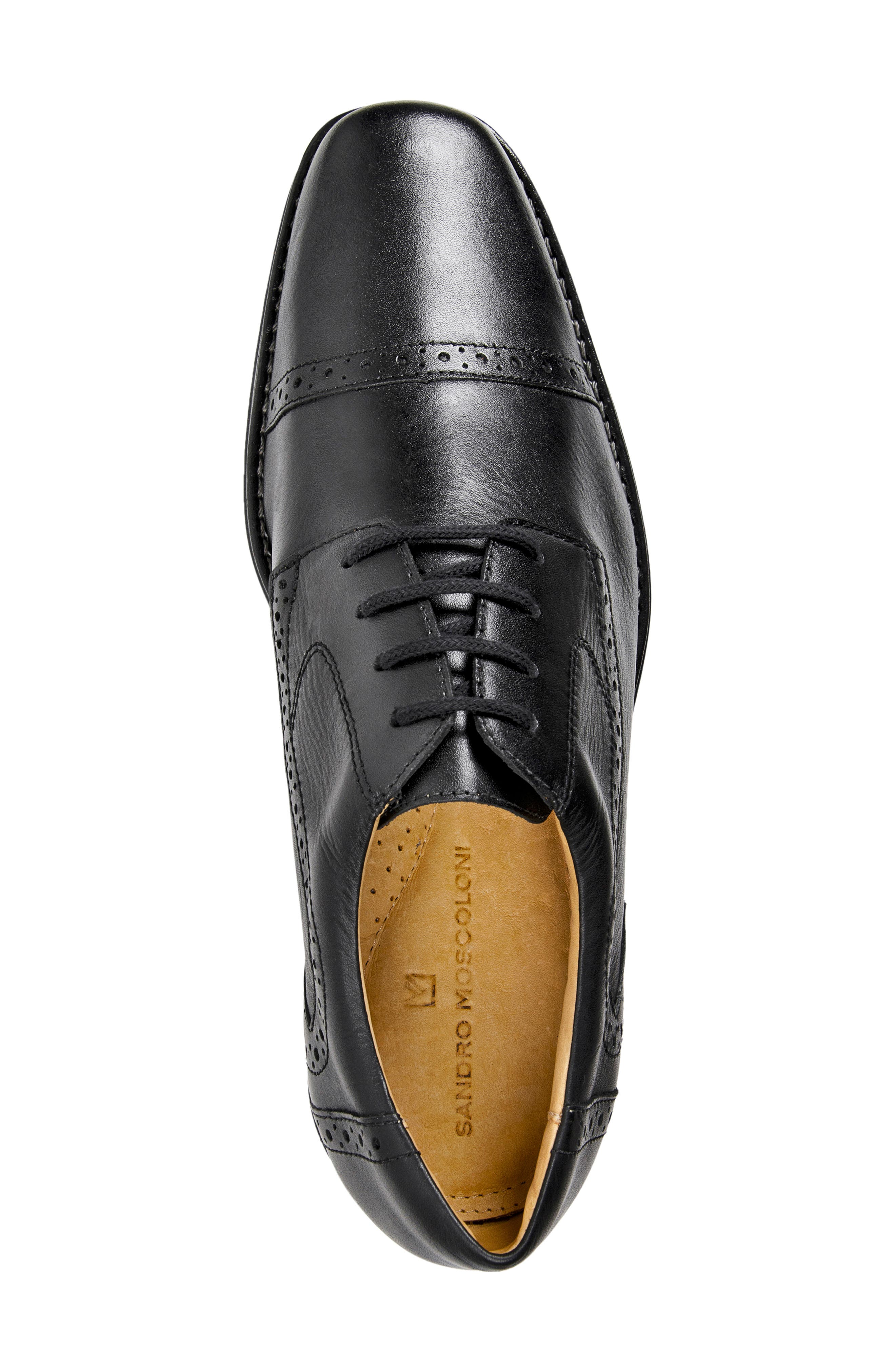 Sandro Moscoloni 'Bruce' Oxford, Alternate, color, 