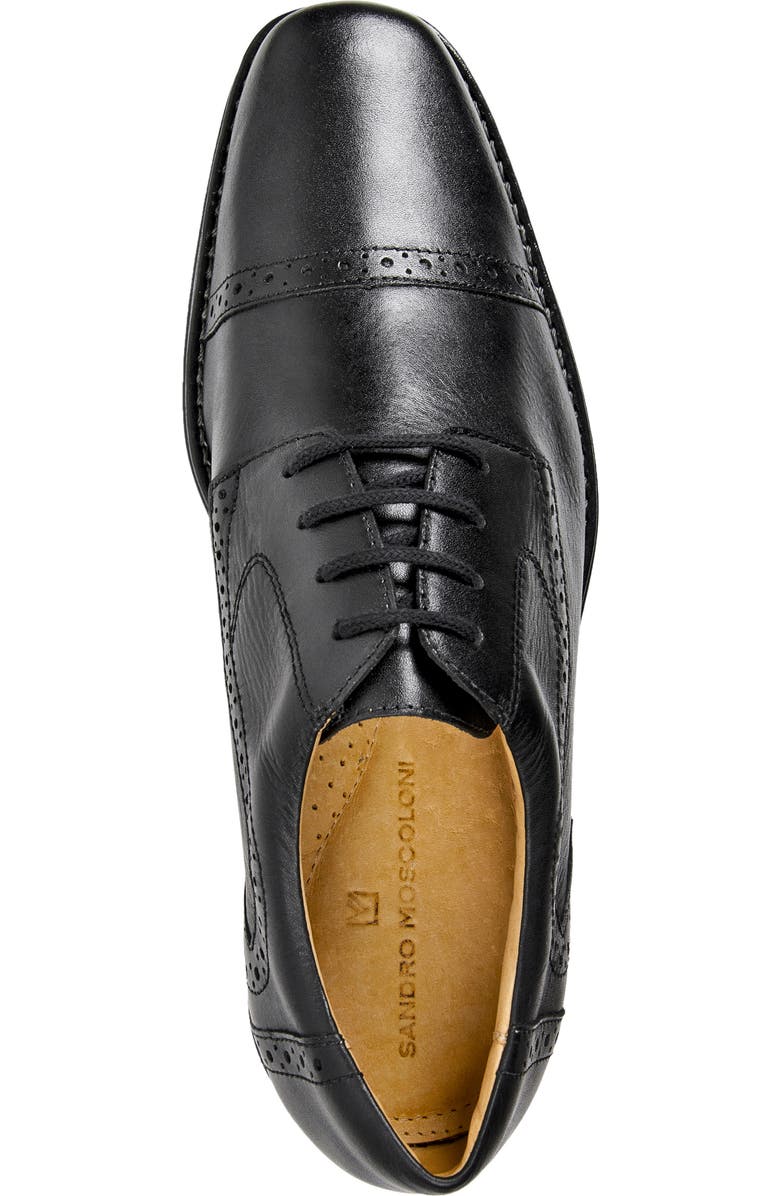 Sandro Moscoloni 'Bruce' Oxford, Alternate, color,