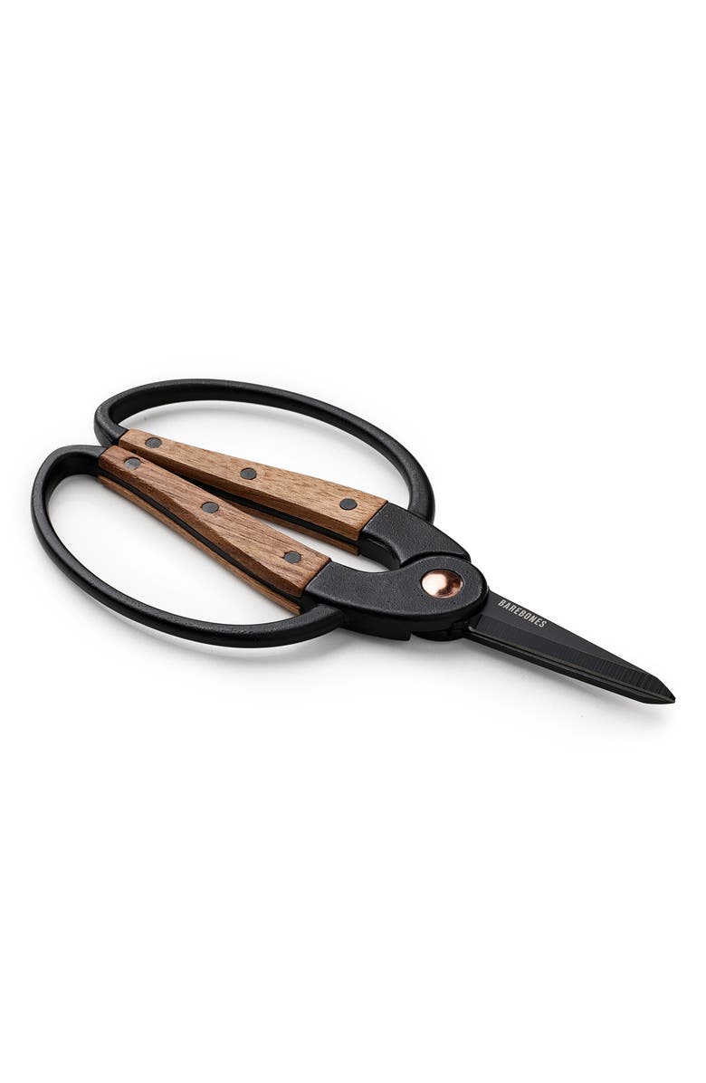 BAREBONES LIVING Set of 2 Garden Scissors, Alternate, color, 