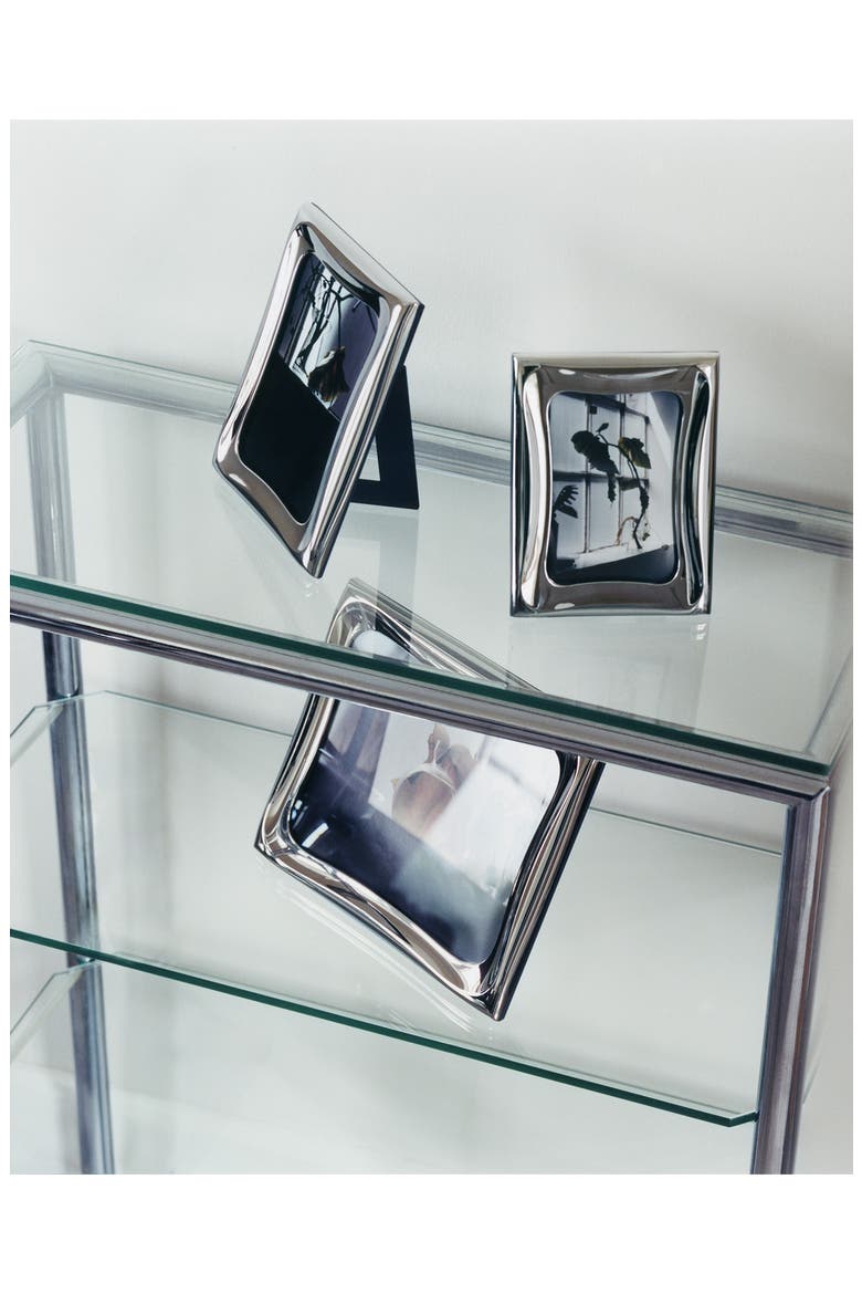 Cobra Stainless Steel Picture Frame, Alternate, color, STAINLESS STEEL