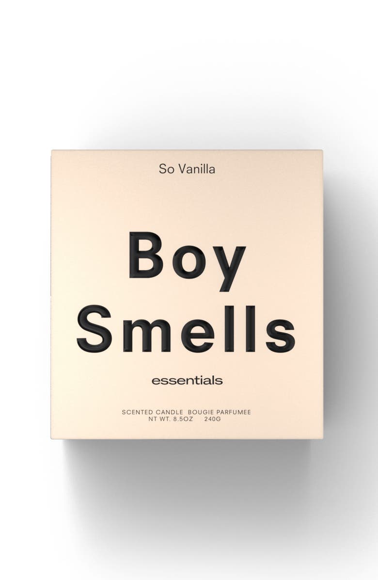 Boy Smells So Vanilla Candle, Alternate, color, 