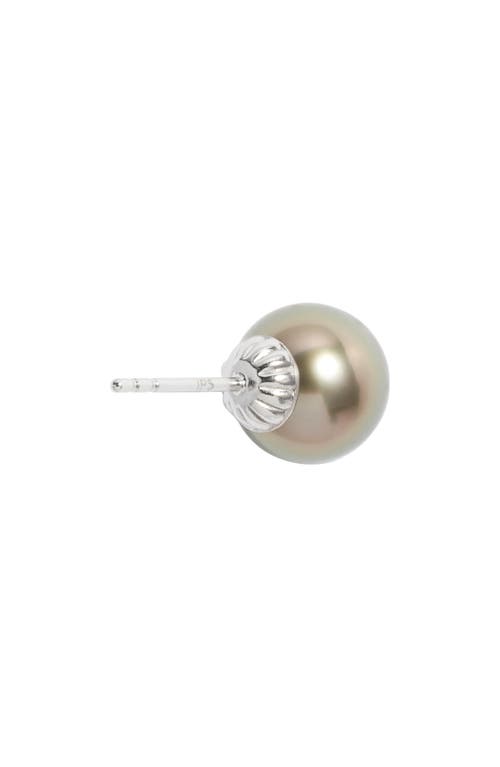 Nordstrom Tahitian Pearl Stud Earrings In Neutral
