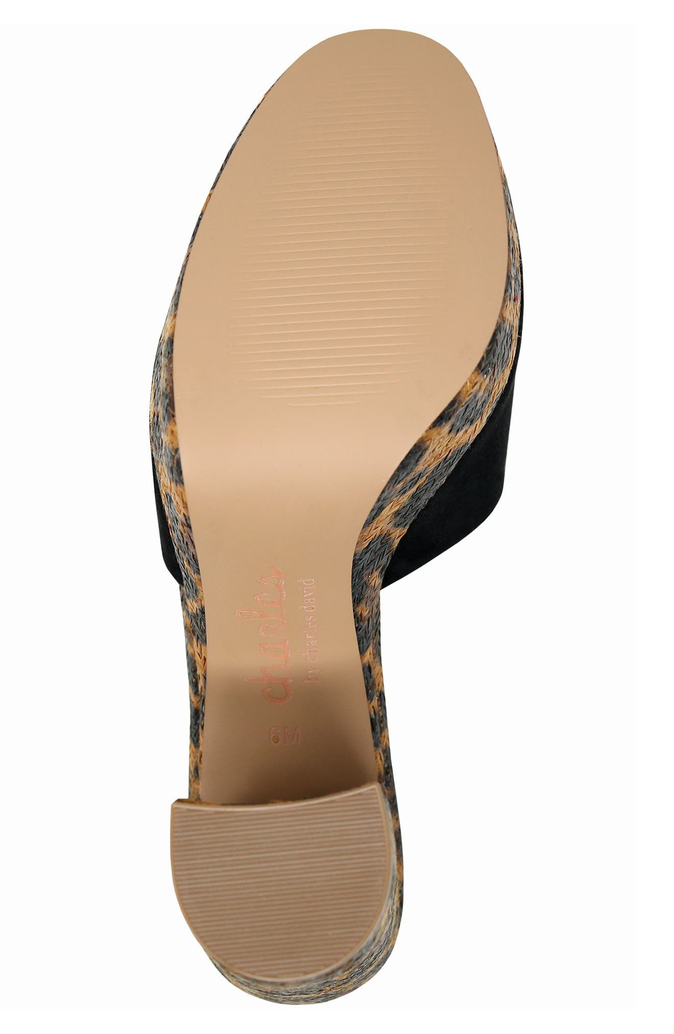 Charles by Charles David Myles Leopard Block Heel Sandal, Alternate, color, 