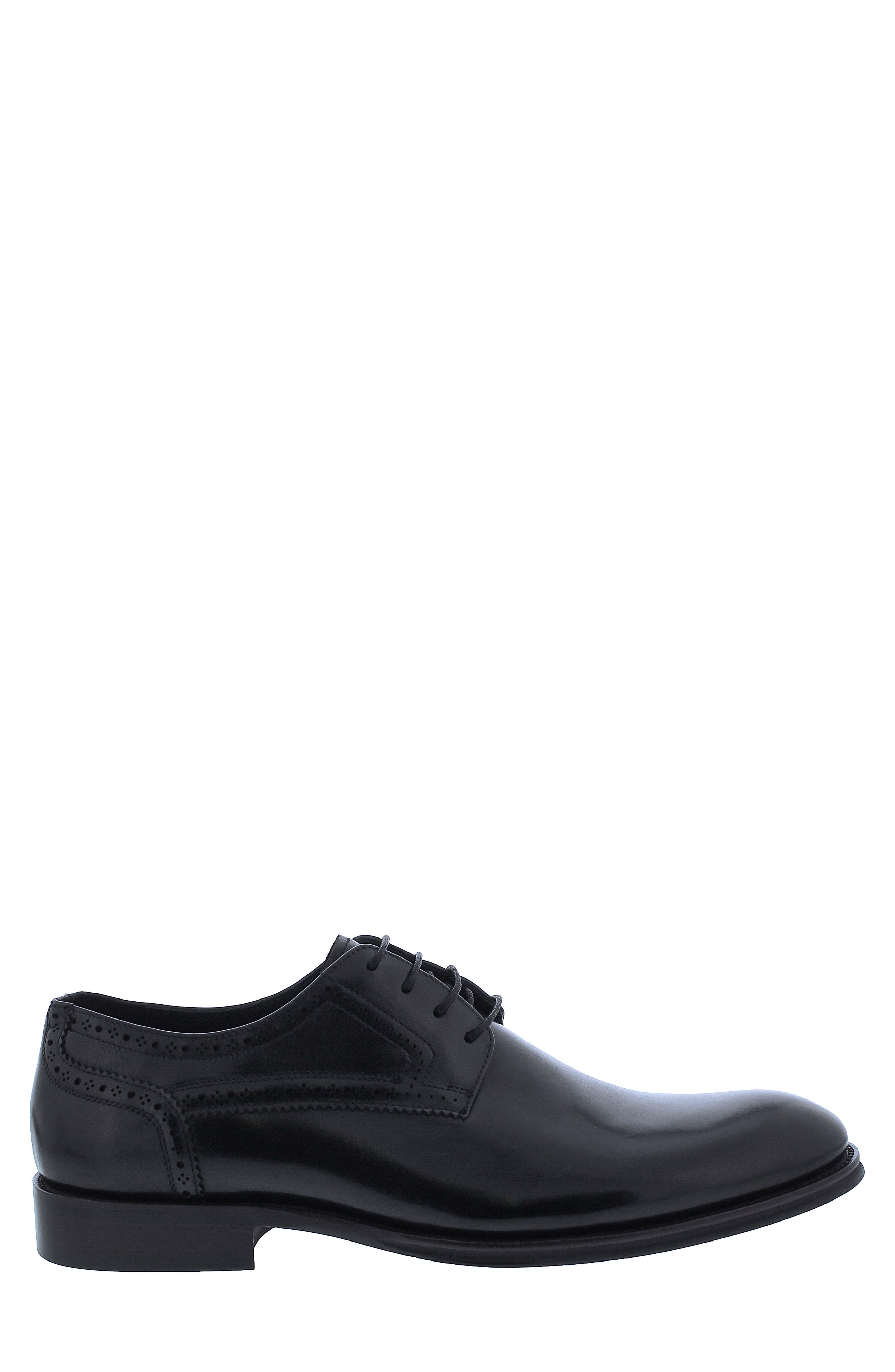 Penny Lane Regent Derby, Alternate, color, 