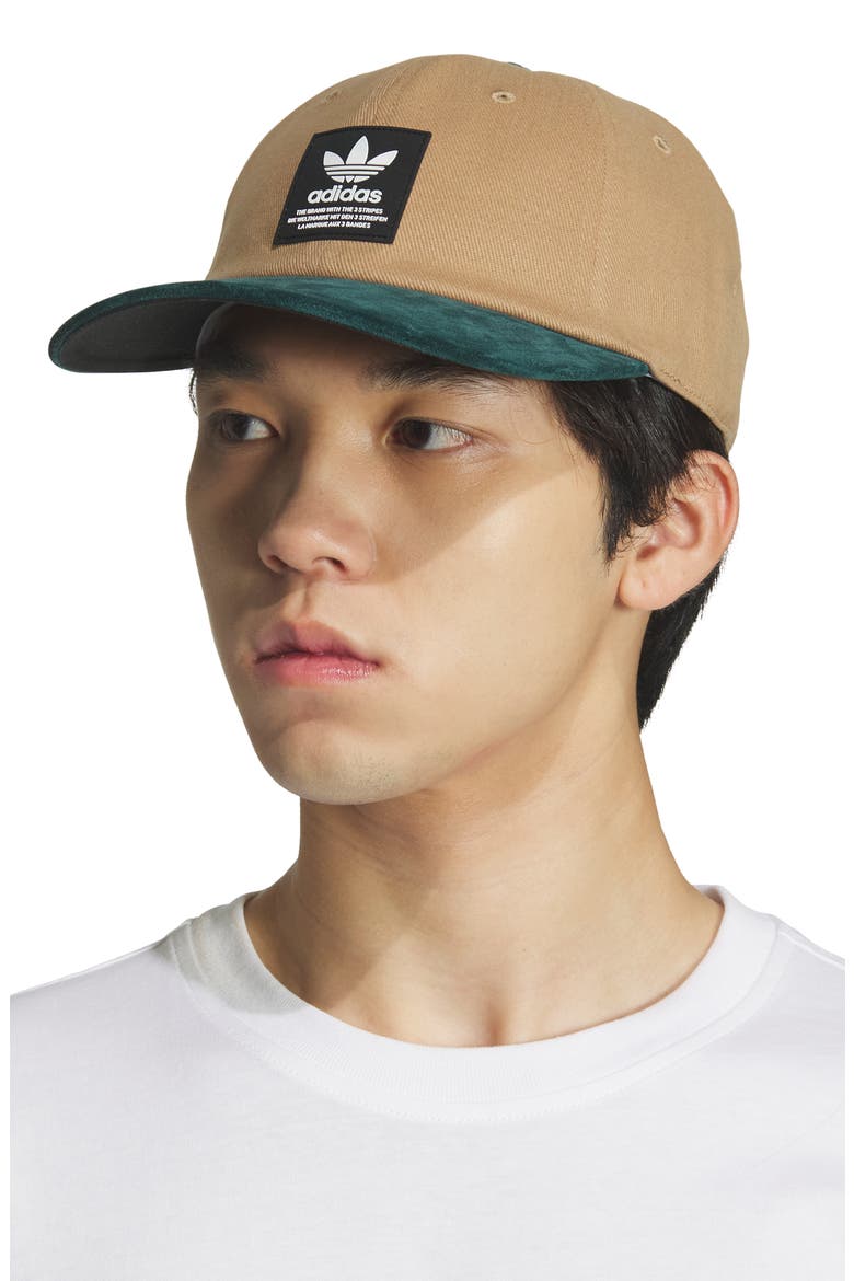 Terrace Adjustable Baseball Cap, Alternate, color, CARDBOARD BROWN/ AURORA GREEN