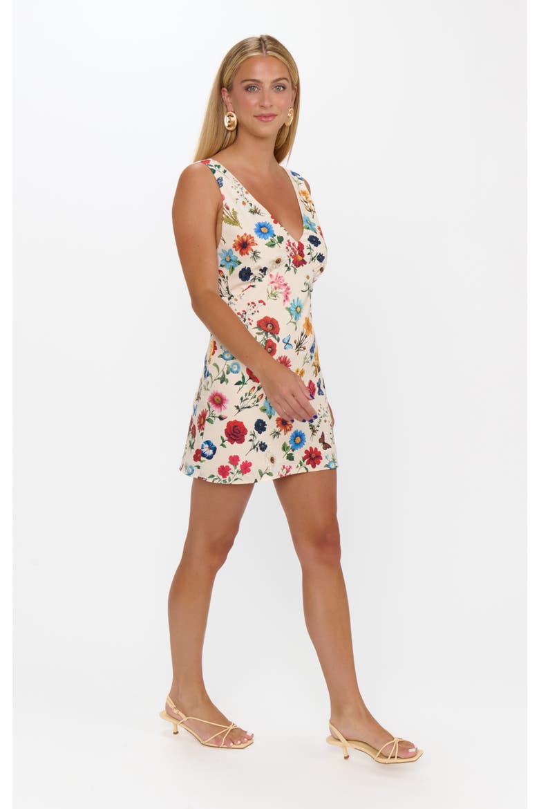 Emily Mini Dress, Alternate, color, French Floral