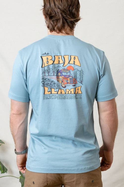 Baja Llama Bus Experience In Teal