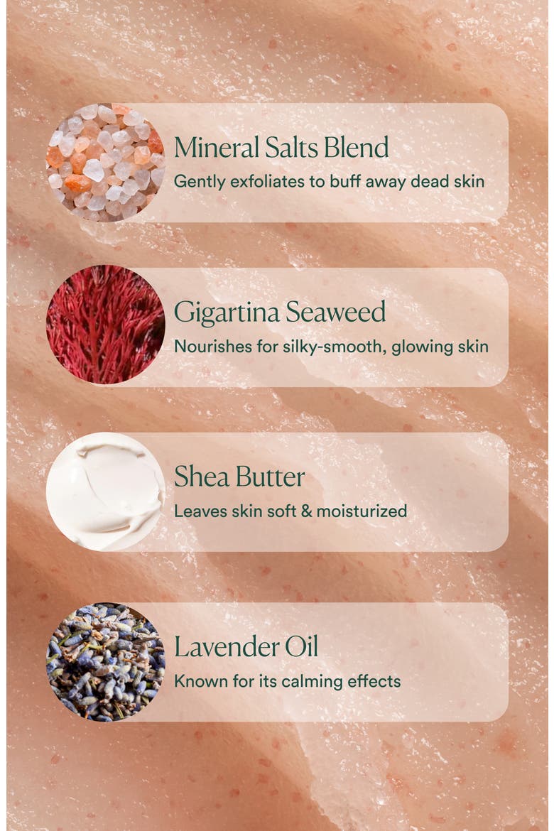 Salts of the Earth Body Scrub, Alternate, color, NO COLOR