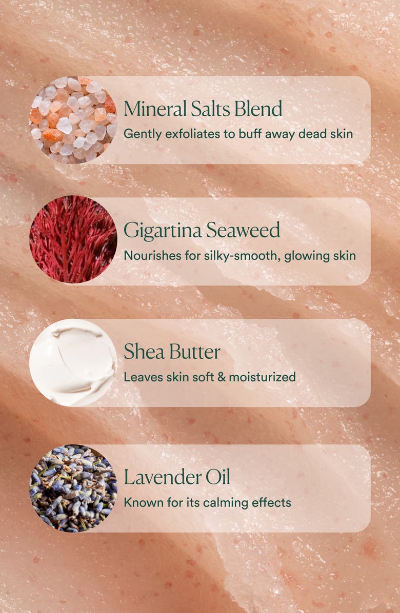OSEA Salts of the Earth Body Scrub, Alternate, color, 