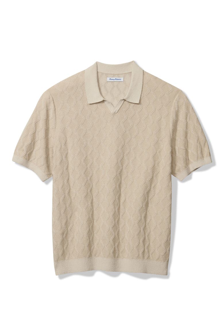 Ocean Waters Short Sleeve Polo, Alternate, color, FEATHER GREY