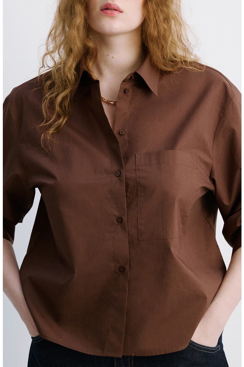 Stripe Cotton Button-Up Shirt, Alternate, color, BROWN