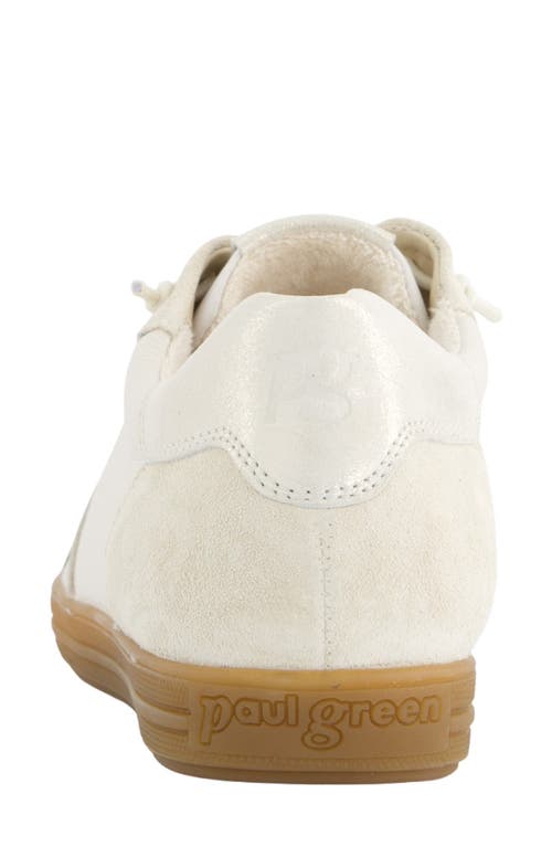 Paul Green Alison Sneaker In Ivory Soft Suede Leather