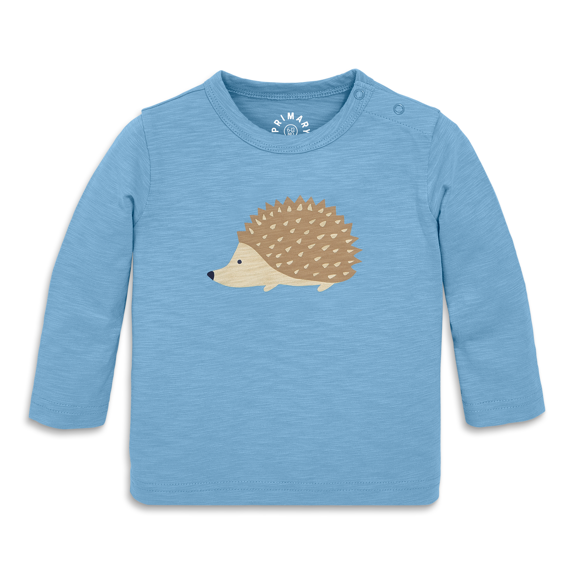 selected Cornflower Hedgehog