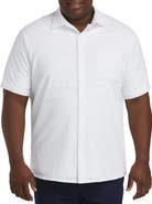 Oak Hill Premium by DXL Big & Tall Seersucker Stripe Sport Shirt