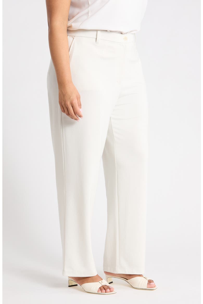 HIGH WAISTED STRAIGHT F/L TROU, Alternate, color, PLASTER