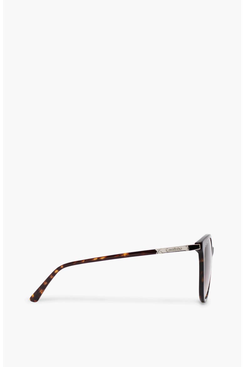 Sunglasses Cosmopolis, Alternate, color, Brown