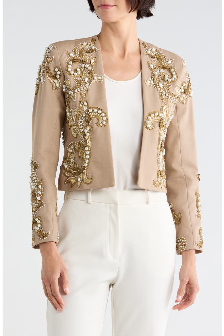 Remini Embellished Jacket, Main, color, DARK CAPPUCCINO