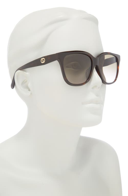 Gucci 56mm Square Sunglasses In Havana Havana Brown