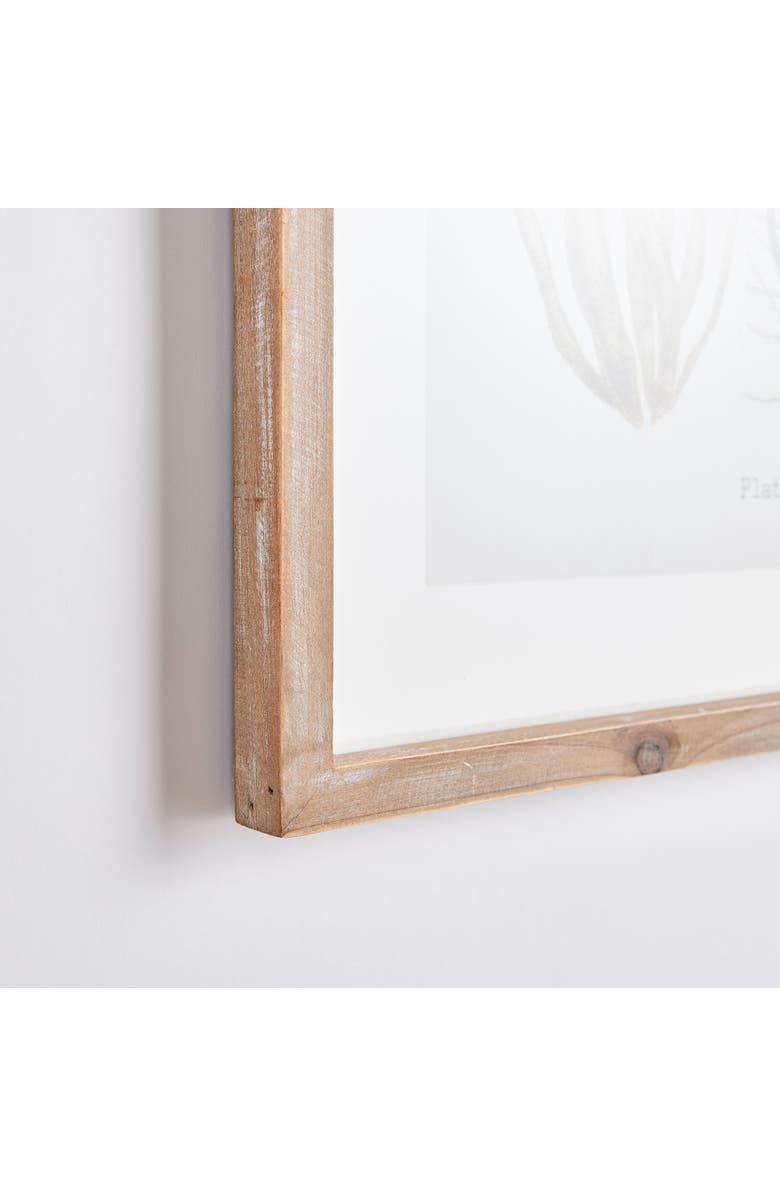 Napa Home & Garden Verdant Coral Study Framed Wall Art Set of 4, Alternate, color, Green