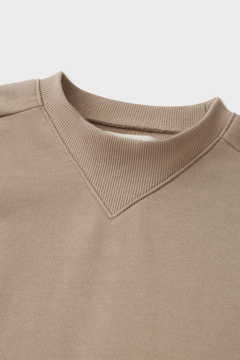 Organic Cotton Cropped Sweatshirt, Alternate, color, Stone