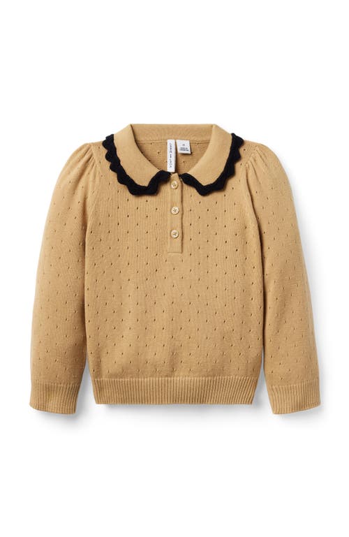 Janie And Jack Pointelle Crochet Collar Sweater In Sand