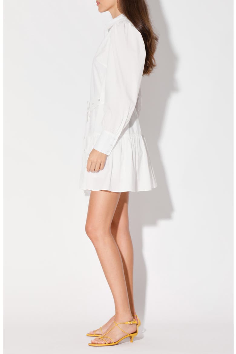 Tara Puff Sleeve Belted Shirt Dress, Alternate, color, WHITE