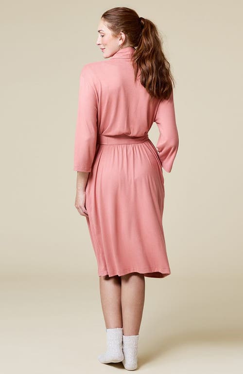 Softies Dream Shawl Collar Robe In Pink