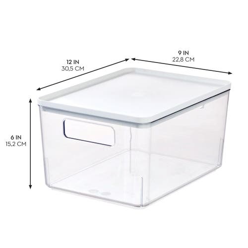 Basic Pantry Bin With Removable Lid In Transparent