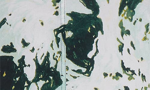 Proenza Schouler Adelide Print Cowl Neck Midi Dress In Metallic