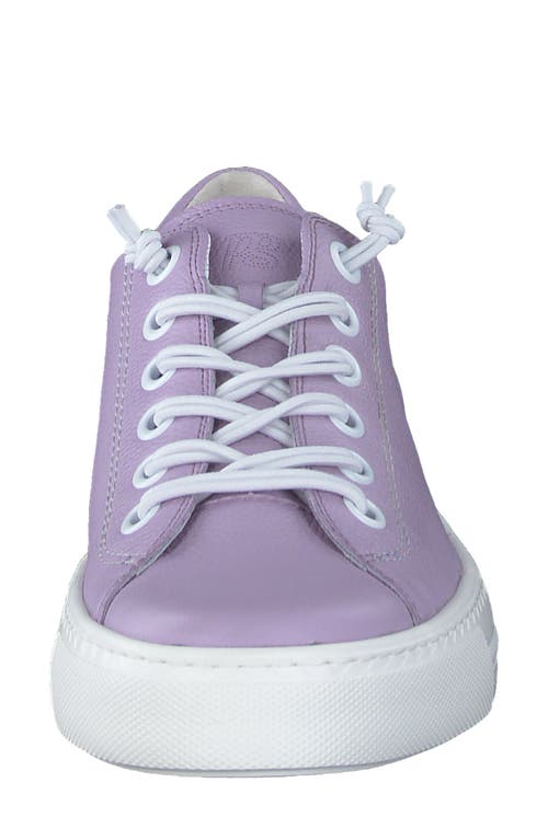 Paul Green Hadley Platform Sneaker In Lavendar Leather