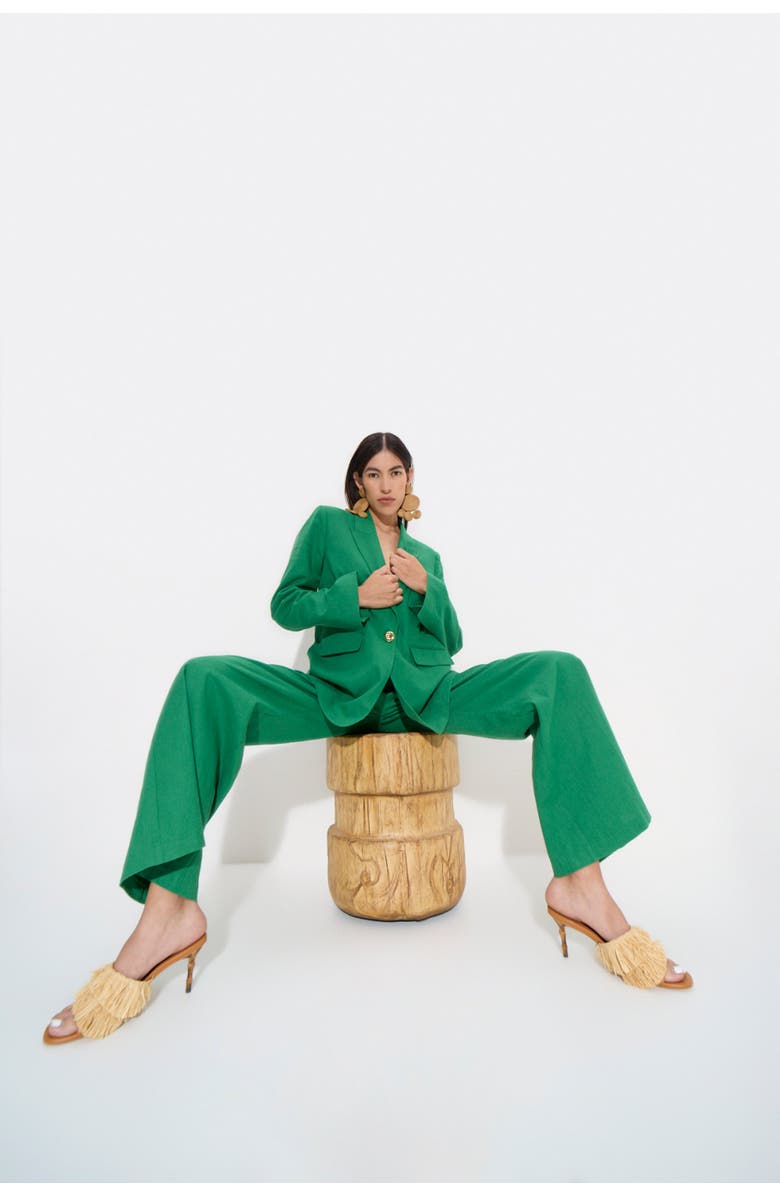 SIMONMILLER Oversized Lennox Linen Jacket, Alternate, color, Amazon Green